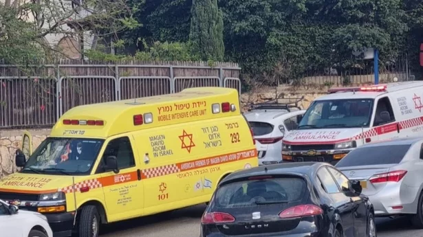 جريمة في شفاغمرو