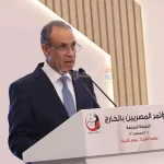 وزير الخارجية: مصر مستعدة لتقديم أي دعم غير مشروط للسعودية