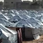 اللجنة المصرية تسبق الشتاء بالعطاء.. وتوفر الدفء والأمان للأسر النازحة في غزة