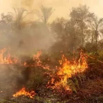حرائق الغابات تُحاصر إندونيسيا.. مقتل 4 أشخاص وتدمير مئات المنازل ونزوح السكان (صور وفيديو)